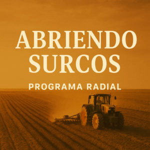 Abriendo surcos – diario